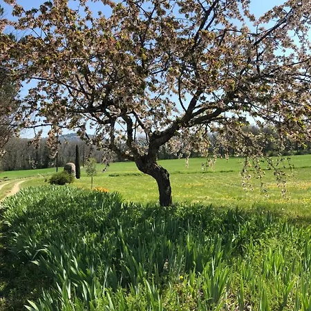 Apartament Le Bois De Sibourg Céreste